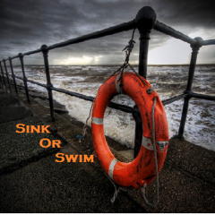 SinkORSwim