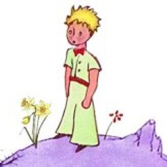 Christopher Knoderer