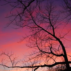 Santa Claus over Rendlesham