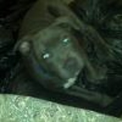 Howard House Williams