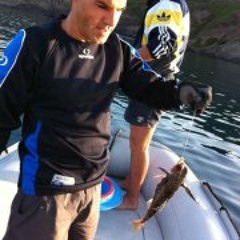 Antonio Antonello Niolu