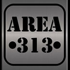 area313