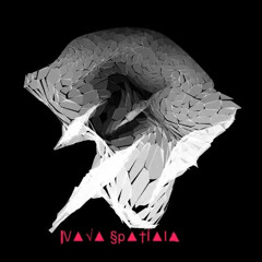 nava spatiala mix