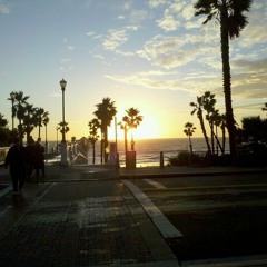 Chris Curly Phillippi