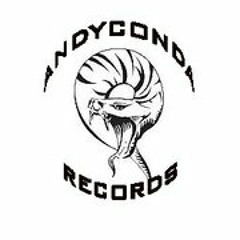 Andyconda Records