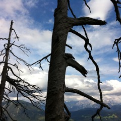 SPIRIT | SOUND & VISION