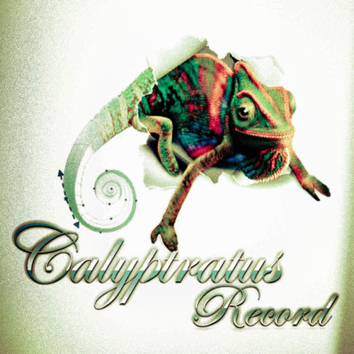 Calyptratus Record’s avatar