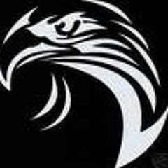 Fighterphoenix
