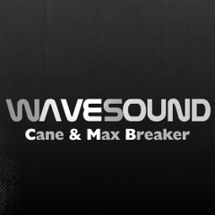 wavesoundpl