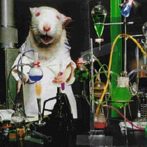 free download the lab rats