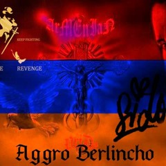 Aggro_Berlincho