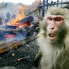 Kieran Mac Donald Sharp