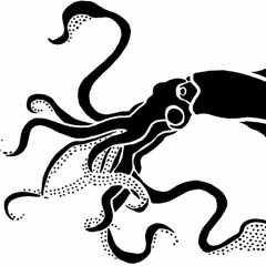 The Gentleman's Paradox