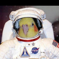 Space Chickens