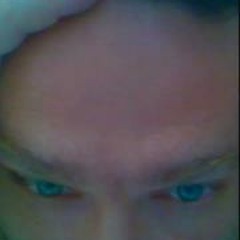 Zvika Büchsenspanner