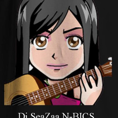 Dj.SeaZaa N-BICS
