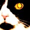 fuzzoid