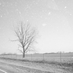 comfortableambitions