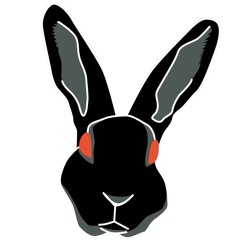 Rabbit - Bassassin