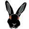 Rabbit ©