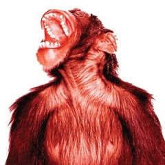 RedMonkey AZ