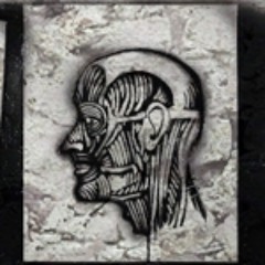 VELV3T - Speak & Spell