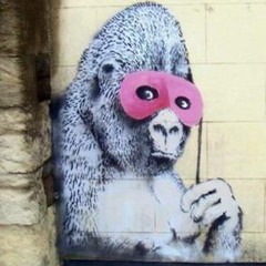 Kong DNB
