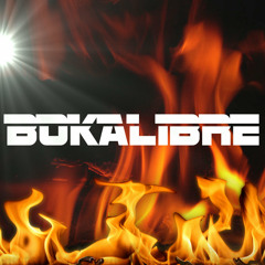 BOKALIBRE