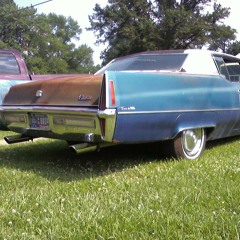 MeeK-a-LeeK DaJaPeTtO