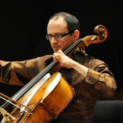 AsafKolerstein