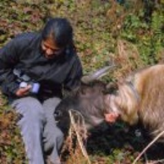 Meenakshi Subramaniam