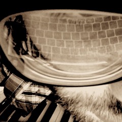 dirtworkandhappiness