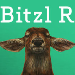 BitzlR