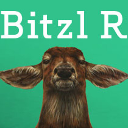 BitzlR’s avatar
