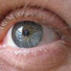 Adrian Heizmann-Checa