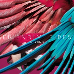 Friendly Fires Mexico