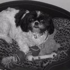 T Zimmick Thirty-three