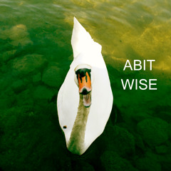 ABITWISE_Mix