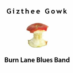 burn lane blues band