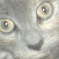 smokiepatch
