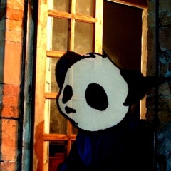 Panda_LPR