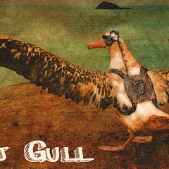 gull,offbeatrecords