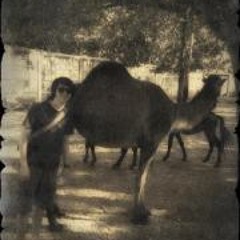 Ganashiro Gavinn Gan