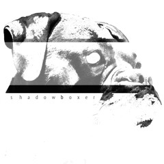 Shadowboxr