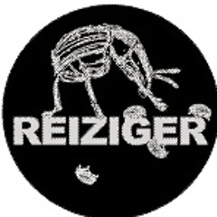 REIZIGER