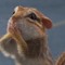 Crackerbox Chipmunk Music