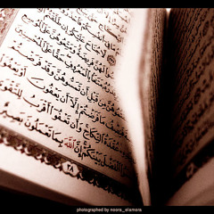 سورة عبس