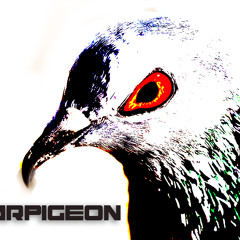 Warpigeon (Aust.)