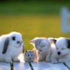 Dominic Coleman-Briggs