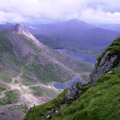 The Electronic Quartet